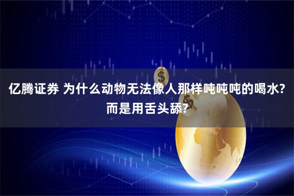 亿腾证券 为什么动物无法像人那样吨吨吨的喝水?而是用舌头舔?