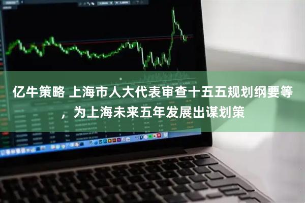 亿牛策略 上海市人大代表审查十五五规划纲要等，为上海未来五年发展出谋划策