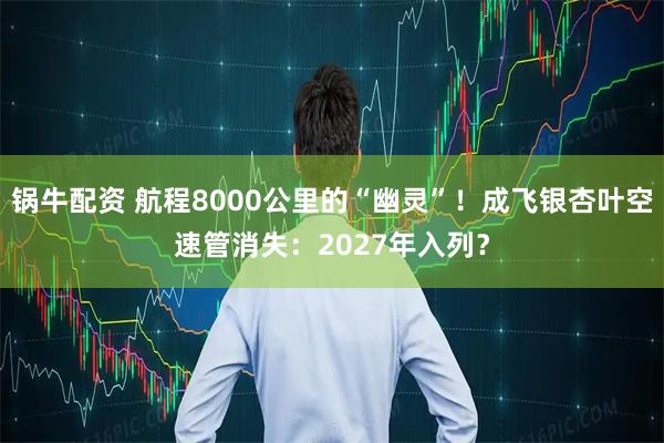 锅牛配资 航程8000公里的“幽灵”！成飞银杏叶空速管消失：2027年入列？