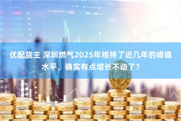 优配货主 深圳燃气2025年维持了近几年的峰值水平,确实有点增长不动了?