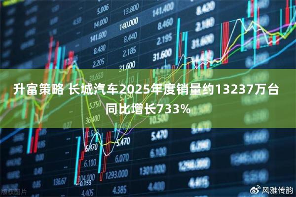 升富策略 长城汽车2025年度销量约13237万台 同比增长733%