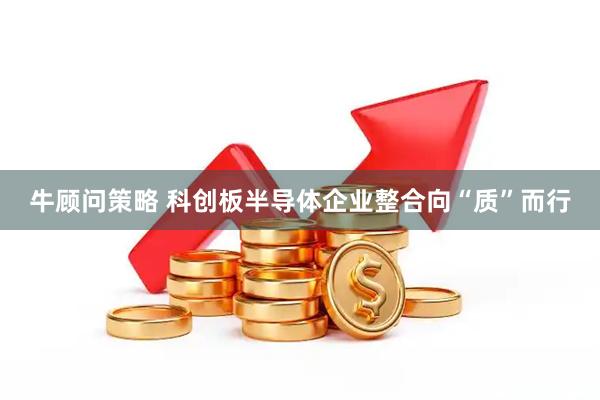 牛顾问策略 科创板半导体企业整合向“质”而行