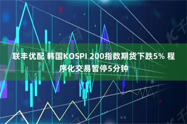 联丰优配 韩国KOSPI 200指数期货下跌5% 程序化交易暂停5分钟